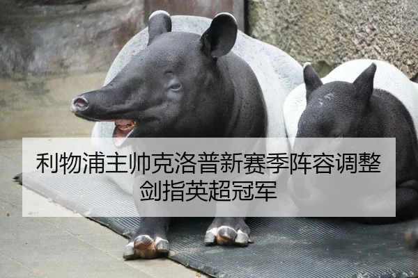 利物浦主帅克洛普新赛季阵容调整剑指英超冠军